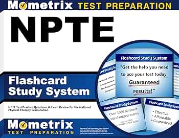 81lS+zebaQL._AC_UF350,